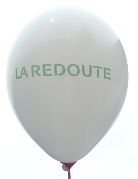 Offsetdruck Flexodruck von Werbeballon R100L-11 : Zur Vergrößerung bitte anklicken: 
