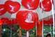 H070N HERZ 70cm breit, Orange, unbedruckt,  extra starke Herzballons